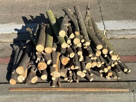 Photo of free Fresh cut firewood logs (Mary and Homestead, Sunnyvale) #1