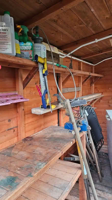 Photo of free Garden shed (Conwy LL32) #4