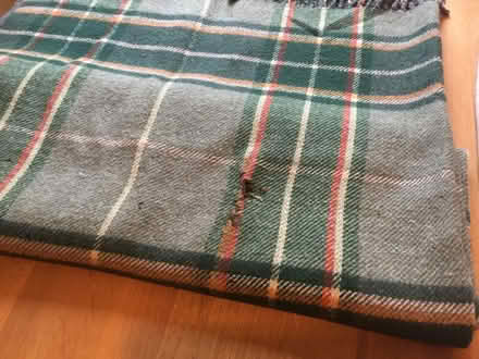 Photo of free Large rug/blanket (Berkhamsted HP4) #3