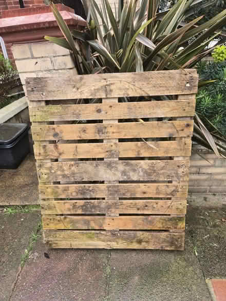 Photo of free Pallet (BN3) #1
