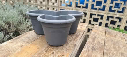 Photo of free Garden planter (Beckenham BR3) #2