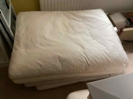 Photo of free Two large cushions (Redhill BS40) #1