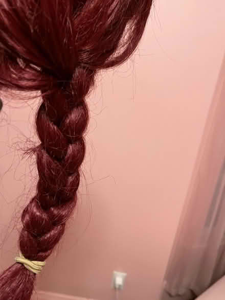 Photo of free Wig (Winter Hill) #2