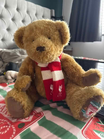 Photo of free Liverpool teddy (GL3) #1