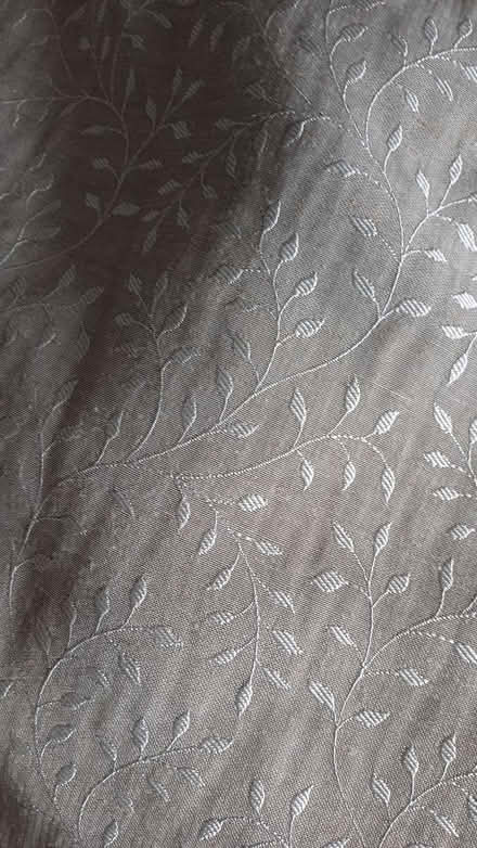 Photo of free Dunelm curtains 168x182 (Bearwood B67) #2