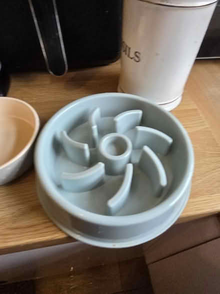 Photo of free Dog bowls and slow feeder (Crosspool S10) #3