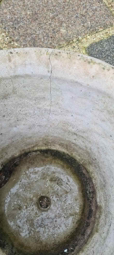 Photo of free Garden planter (Beckenham BR3) #3