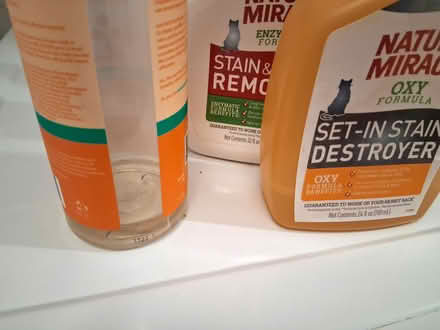 Photo of free Pet (mostly cat) cleanup products (Cambridgeport, near Dana Park) #2