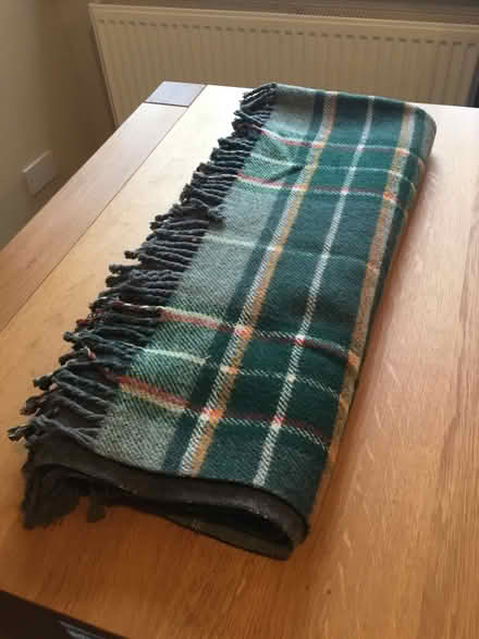 Photo of free Large rug/blanket (Berkhamsted HP4) #1