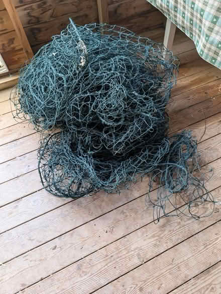 Photo of free Chicken netting (Churston Ferrers TQ5) #1