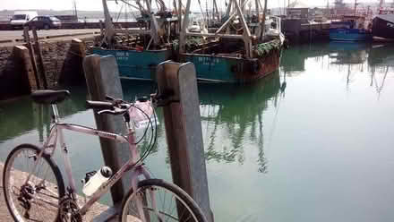 Photo of Men's bike project for challenge (Roche PL26) #1