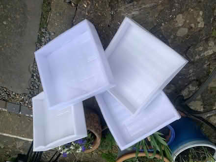 Photo of free Seed trays? (Presteigne LD8) #1