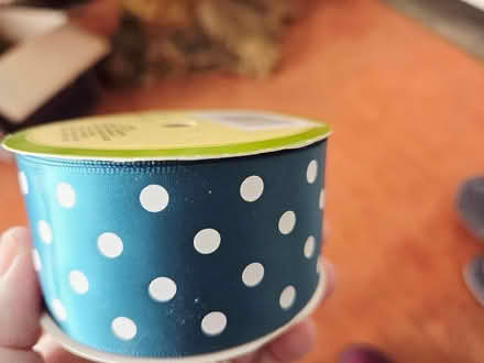 Photo of free Teal polka dot ribbon 9 feet (Experimental Farm) #1