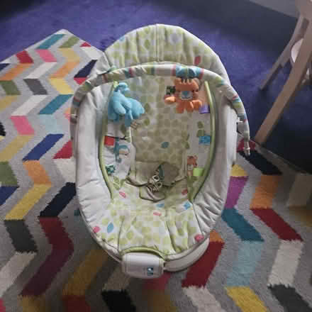 Photo of free sterilizer kit and baby bouncer (Langley SL3) #4