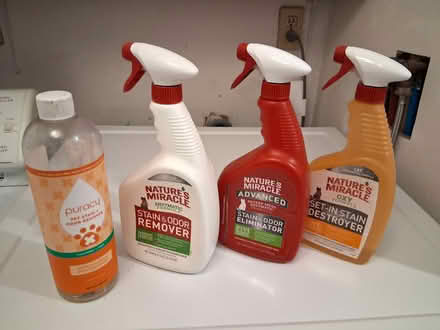 Photo of free Pet (mostly cat) cleanup products (Cambridgeport, near Dana Park) #1