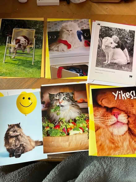 Photo of free Large stack of greeting cards (Colfax & Quebec) #2