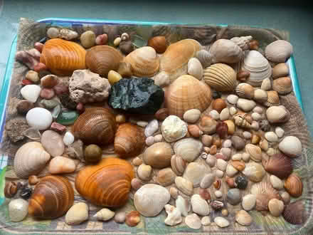 Photo of free Selection of shells, gems & stones (Henley-on-Thames RG9) #1