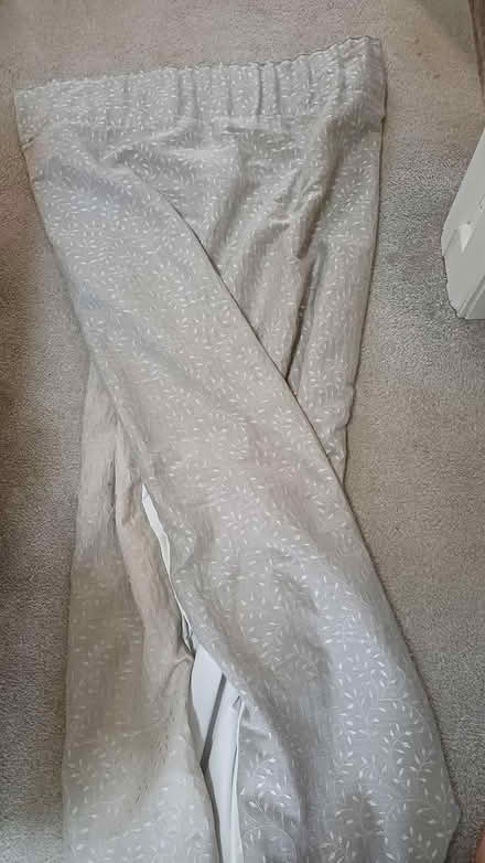 Photo of free Dunelm curtains 168x182 (Bearwood B67) #1