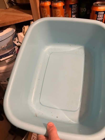 Photo of free Washing up bowl (Keynsham Memorial Park BS31) #1