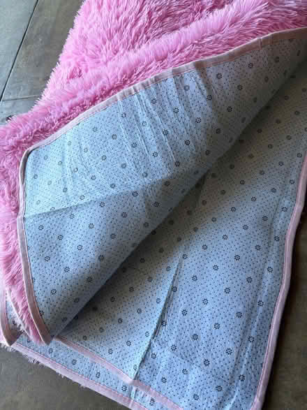 Photo of free Pink shag rug (West portal / Parkside) #2