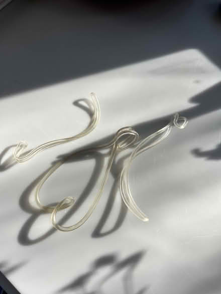 Photo of free 3 thick strong plastic loops (Prospect and DeAnza) #1