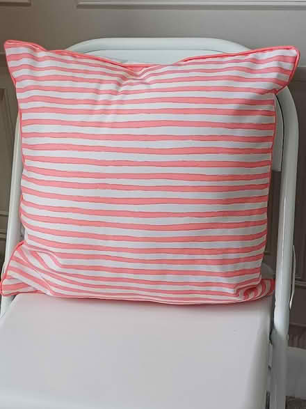 Photo of free Cushion (Salisbury SP2) #2