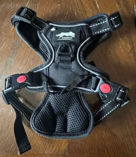 Photo of free Small Dog Harness (Portsmouth PO2) #1