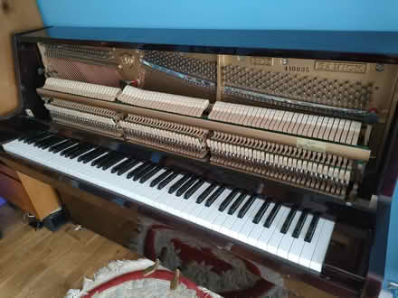 Photo of free Piano (Bomere Heath SY4) #3