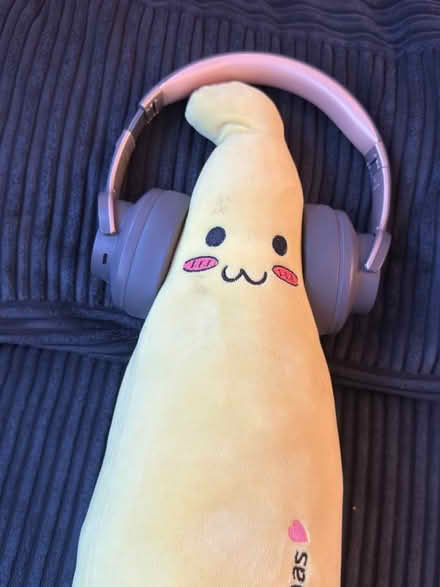 Photo of free Basic bluetooth Headphone. Works (Levenshulme M19) #2