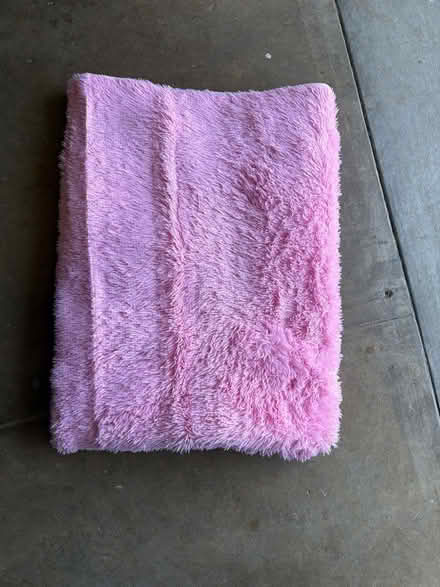 Photo of free Pink shag rug (West portal / Parkside) #1
