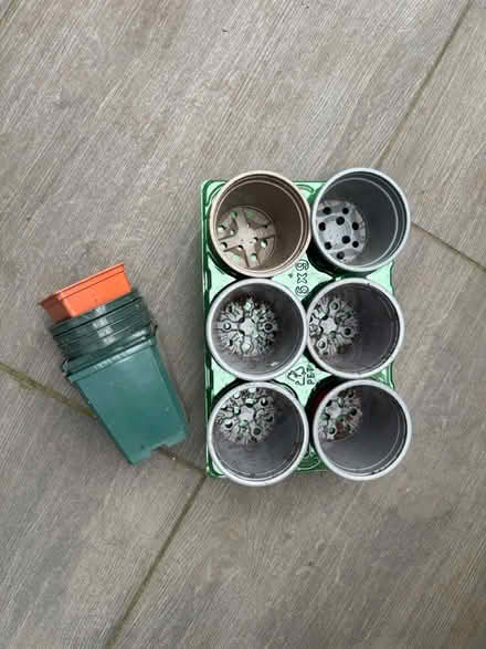Photo of free 20 plant pots various sizes 🪴 (SE11) #1