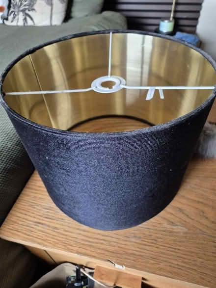 Photo of free Black nightshade with gold lining (Stainton CA11) #1