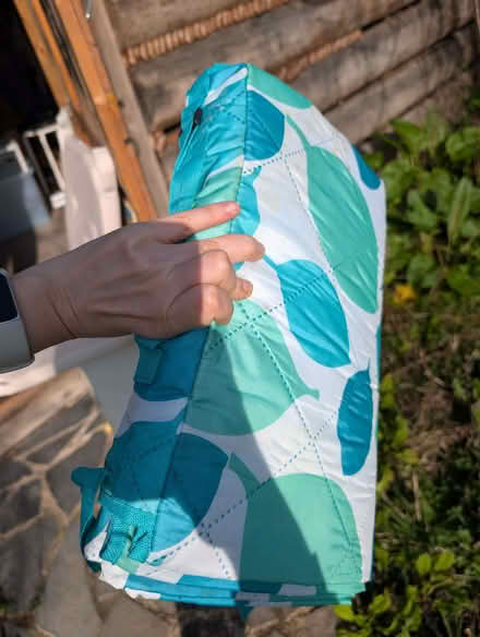 Photo of free Picnic blanket (Streatham SW16) #2