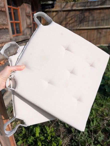 Photo of free Ikea chair cushions (Streatham SW16) #2