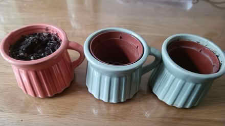 Photo of free Mini plant pots (Friern Barnet, N11) #2