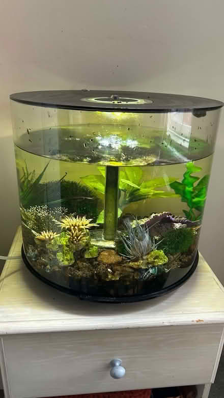 Photo of free Fish tank and supplies (LE16 9AE) #1