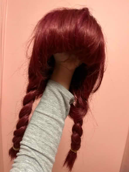 Photo of free Wig (Winter Hill) #1