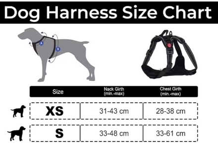 Photo of free Small Dog Harness (Portsmouth PO2) #2