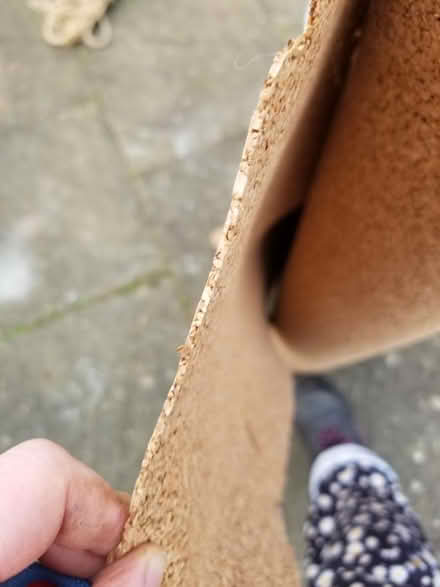 Photo of free Roll of Cork underlay (Gloucester) #3
