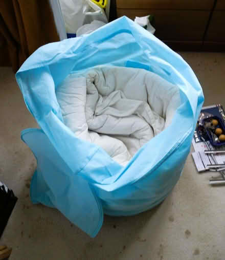 Photo of free mattress topper (for pets) (Whitehill SG4) #1