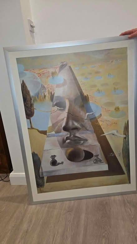 Photo of free Large picture free of charge (TN15) #4