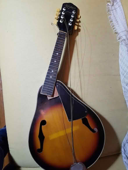 Photo of free El Degas mandolin parts/repair (downtown Toronto west end) #1