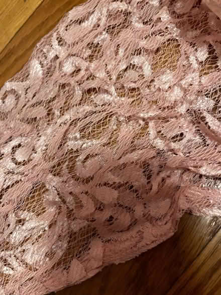 Photo of free Pretty in Pink (Winter Hill) #4