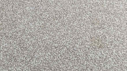 Photo of free Beige Carpet (Wrekenton NE9) #1