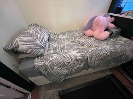 Photo of free Single Bed & Mattress (TW20) #1