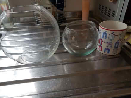 Photo of free Fishbowl vases (Blacklands TN34) #1