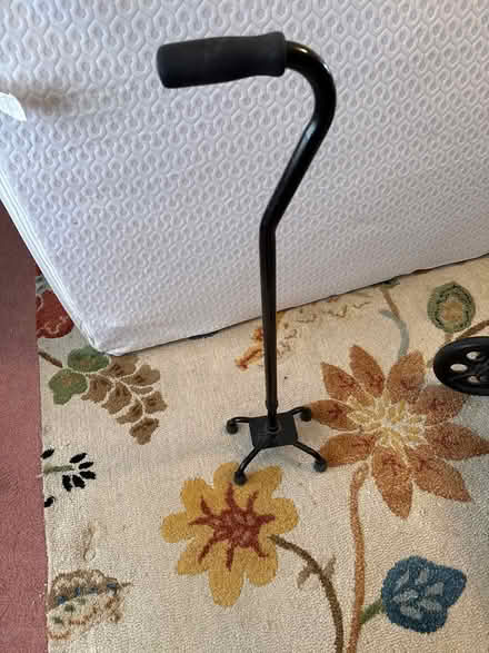 Photo of free 4pronged cane (Edina) #1