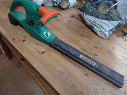 Photo of free hedge cutter (Station Area RG21) #1