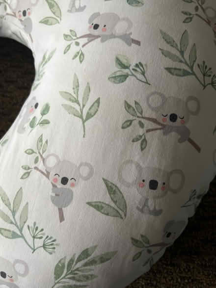 Photo of free Boppy (Glen Burnie) #2