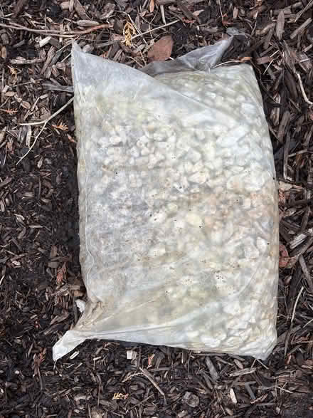 Photo of free Bag of limestone chips (West Glenview) #1